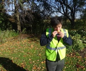 Undergraduate researcher Andrew James tastes a very tannic foraged pear